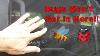 Fastest Easiest Car Camping Window Bug Screens For Camping Vanlife Suv