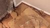 How To Remove Particle Board When It Has Been Nailed And Glued Down Time Saver